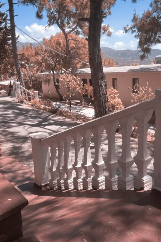 Senza Garden Holiday Club фото 65