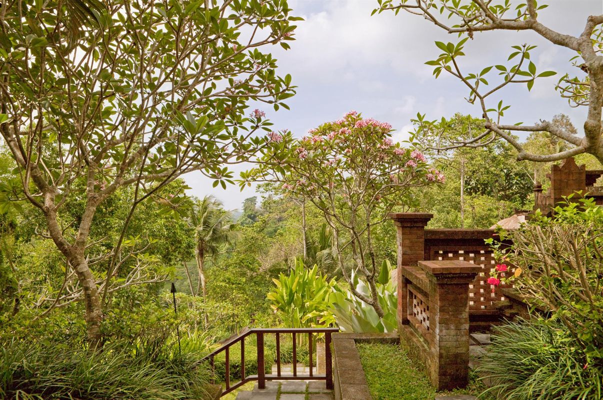 COMO Uma Ubud - CHSE Certified фото 14
