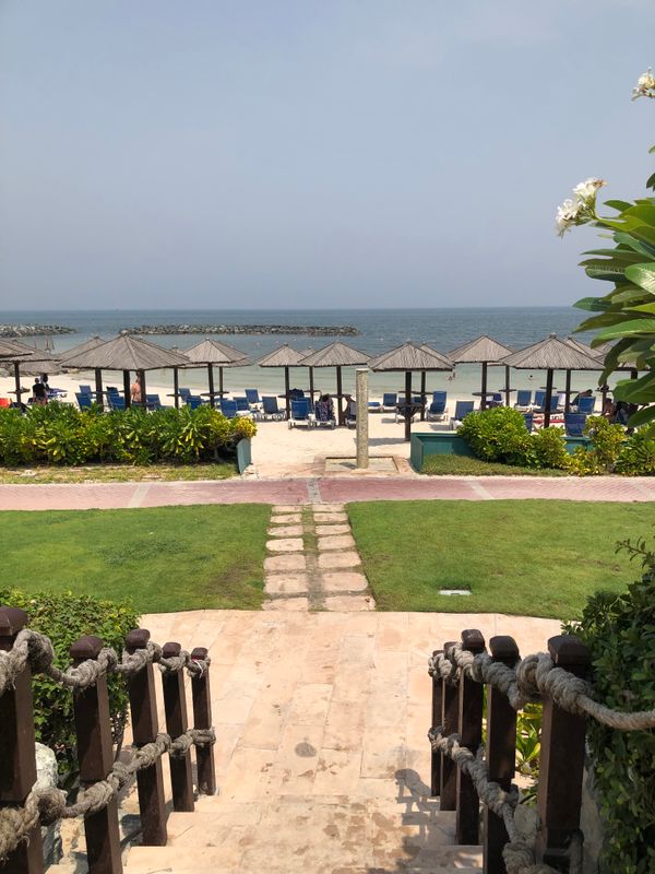 Coral Beach Resort Sharjah фото 43