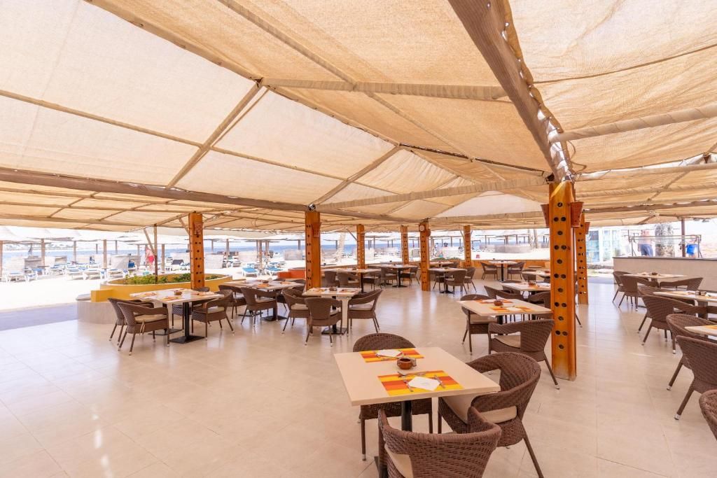 Malikia Resort Abu Dabbab фото 17