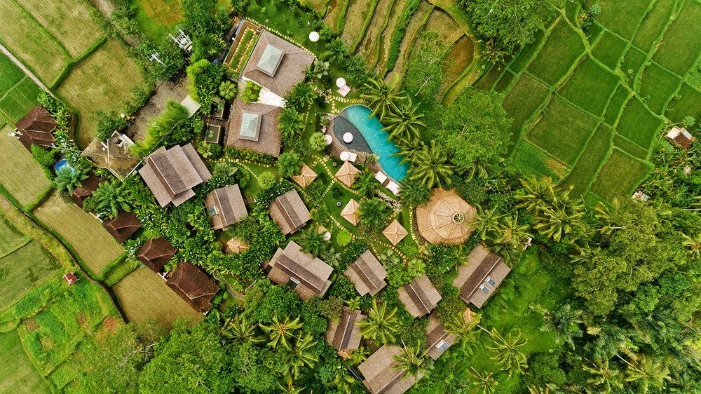 Blue Karma Dijiwa Ubud фото 44