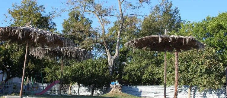 Фото отеля Пшандра