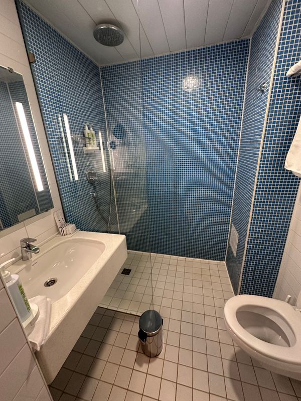 Best Western Plus Centre Hotel фото 20