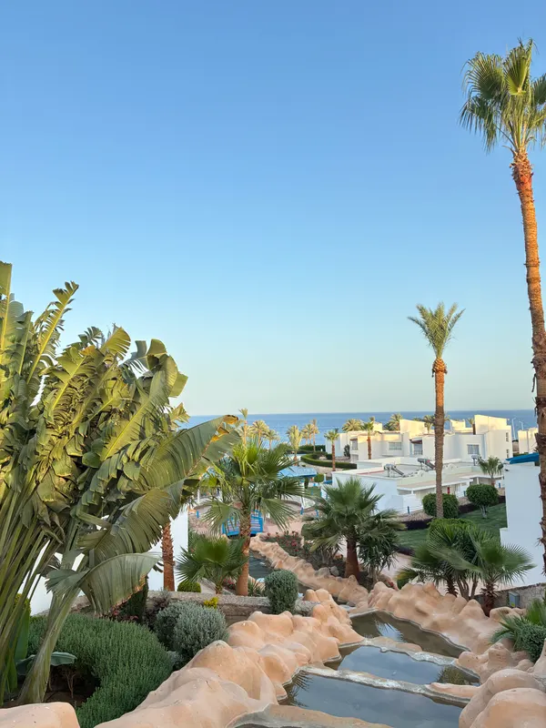 Renaissance Sharm El Sheikh Golden View Beach Resort фото 72
