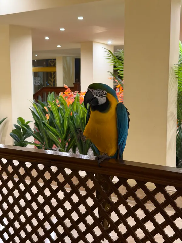 Siva Grand Beach Hotel фото 70