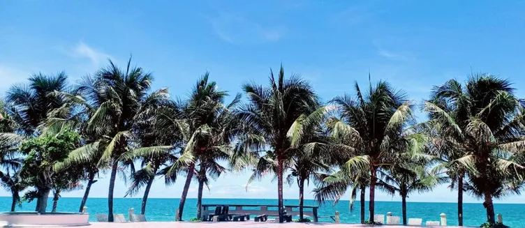 Фото отеля Muine Pacific Resort