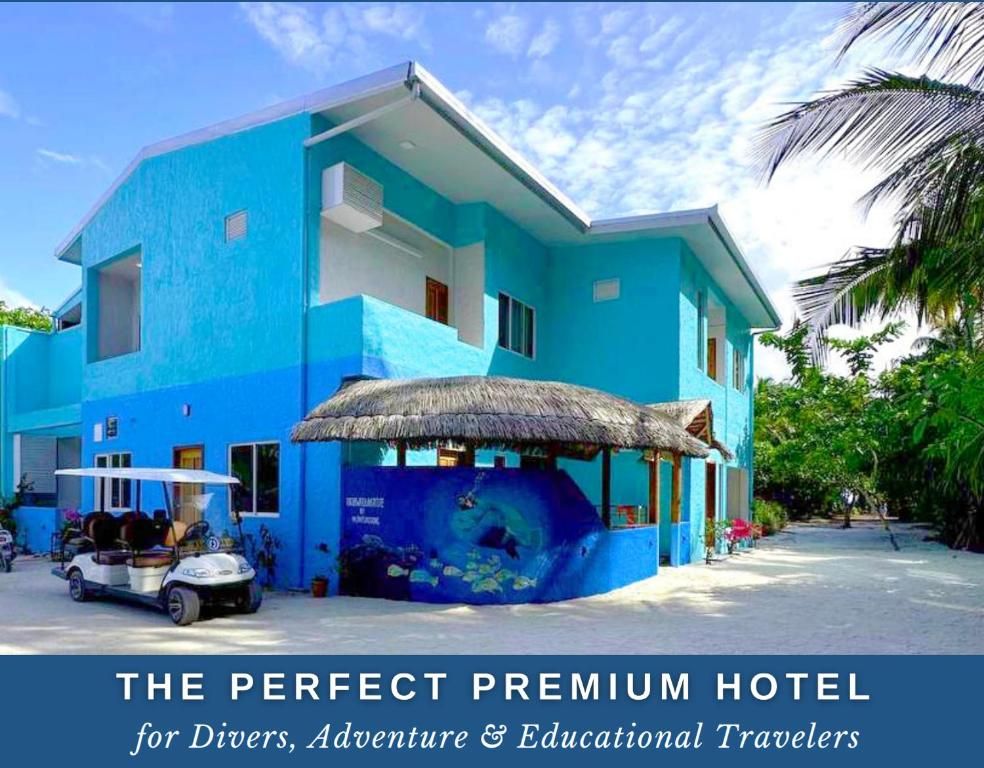 Island Luxury Dive Hotel Fulhadhoo фото 16