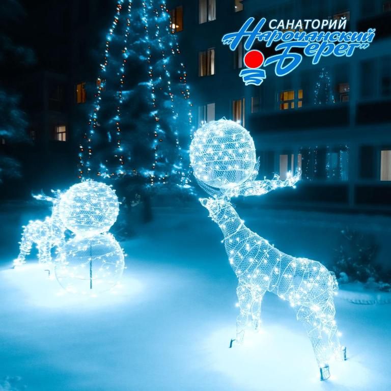 Санаторий «Нарочанский берег» фото 16