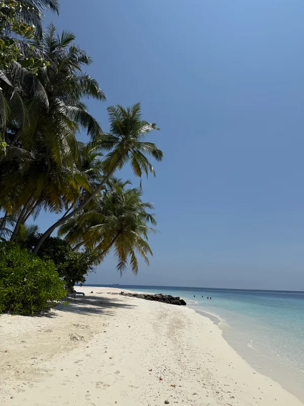 Fihalhohi Maldives фото 73