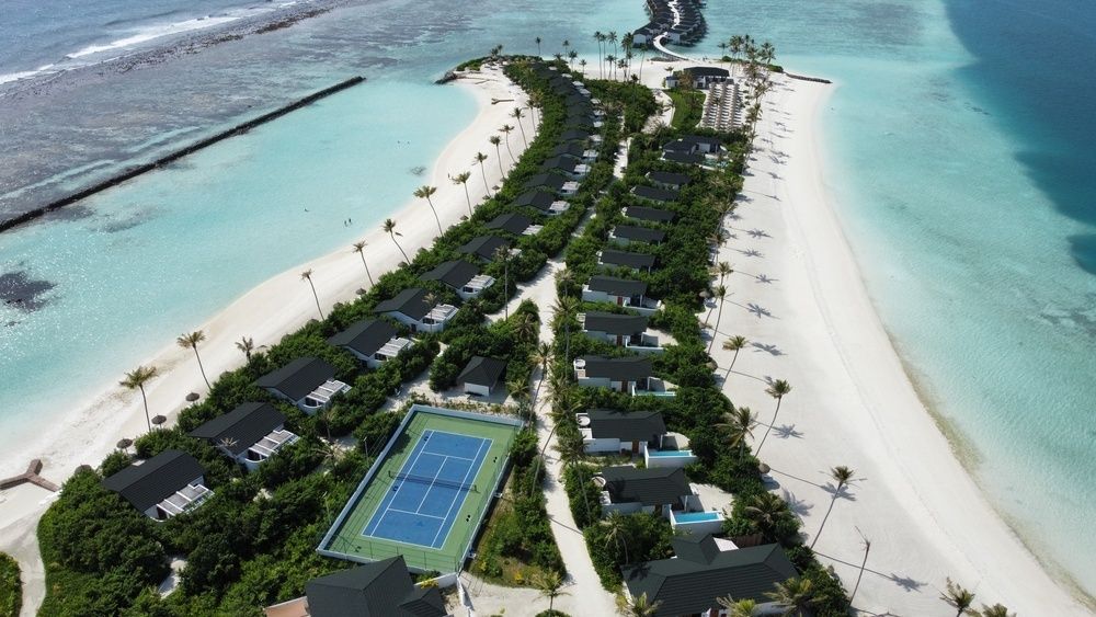 Joy Island фото 49