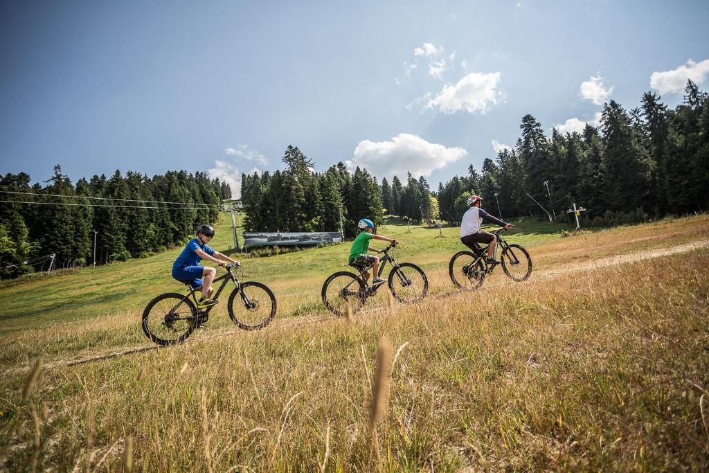 Rila Hotel Borovets фото 32