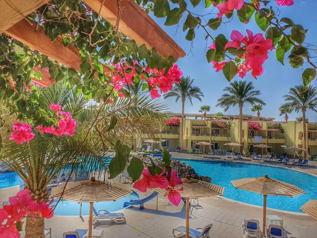 Palm Beach Resort фото 41