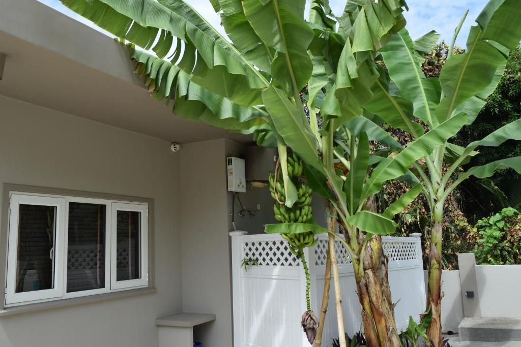 Moulin Kann Villas фото 25