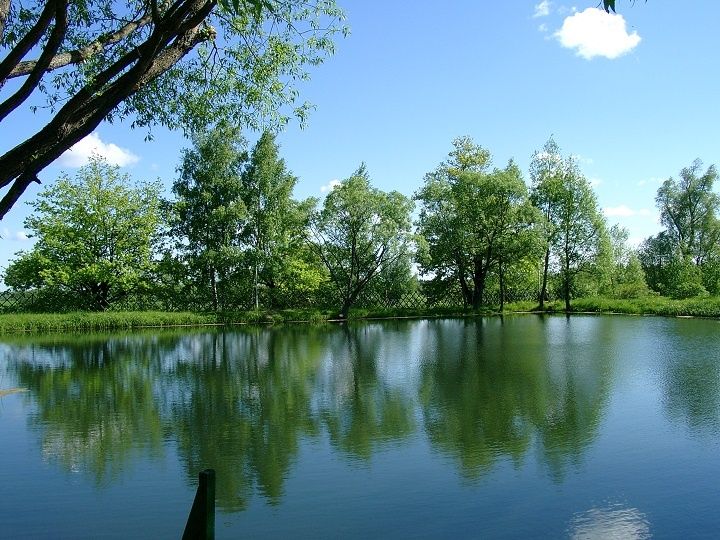 Парк-отель «Sofrino Park Hotel» фото 73