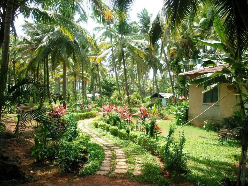 Alagoa Resort фото 40