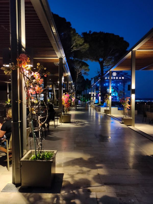 Dobedan World Palace Kemer фото 203