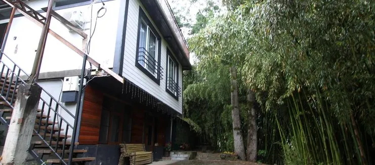 Фото отеля Гостевой дом «Бамбуковая Роща»