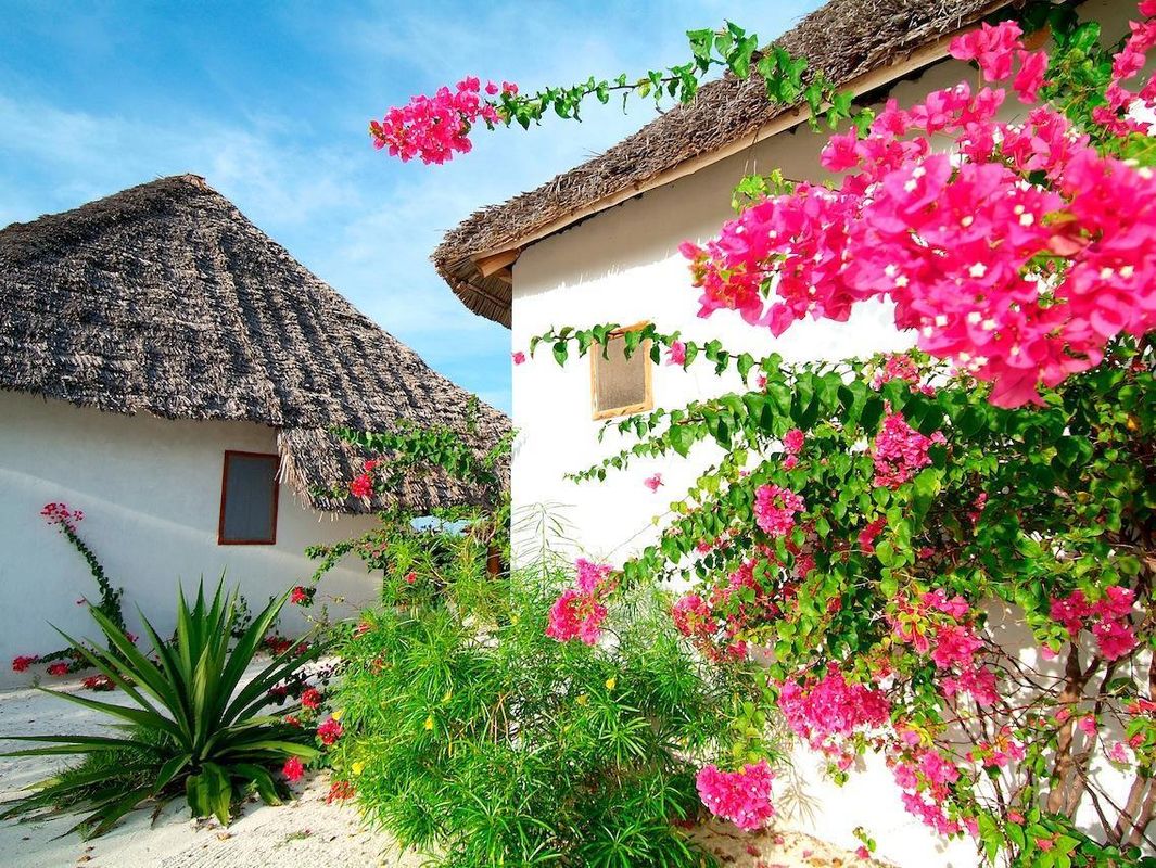 Hakuna Majiwe Beach Lodge фото 25