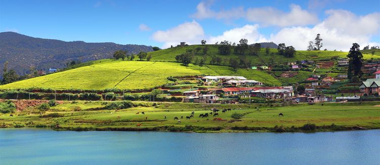 Фото отеля Heaven Seven Nuwara Eliya