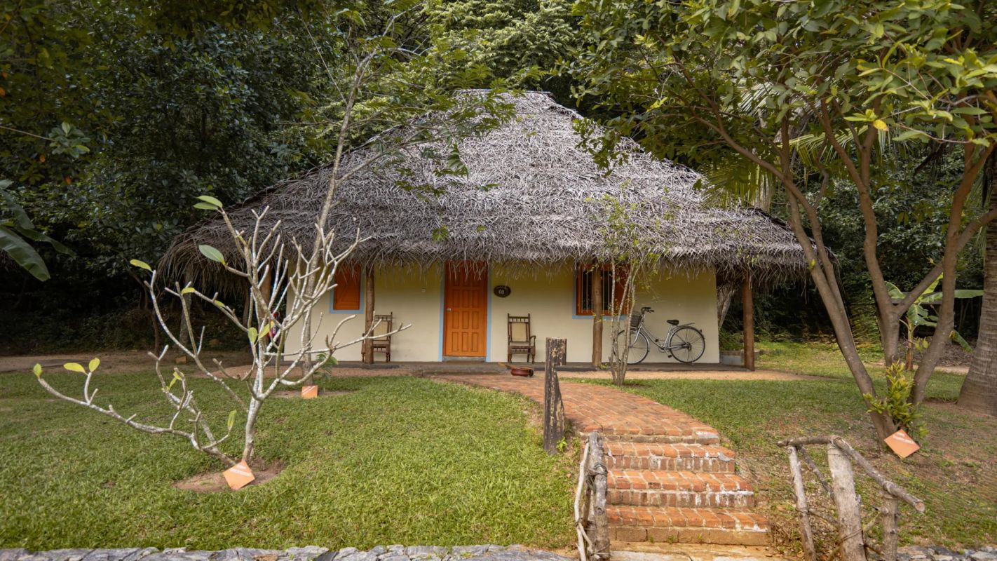 Amuna Ayurveda & Wellness Retreat фото 1