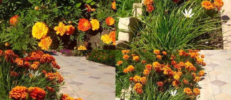 Фото отеля Ахчыпсы