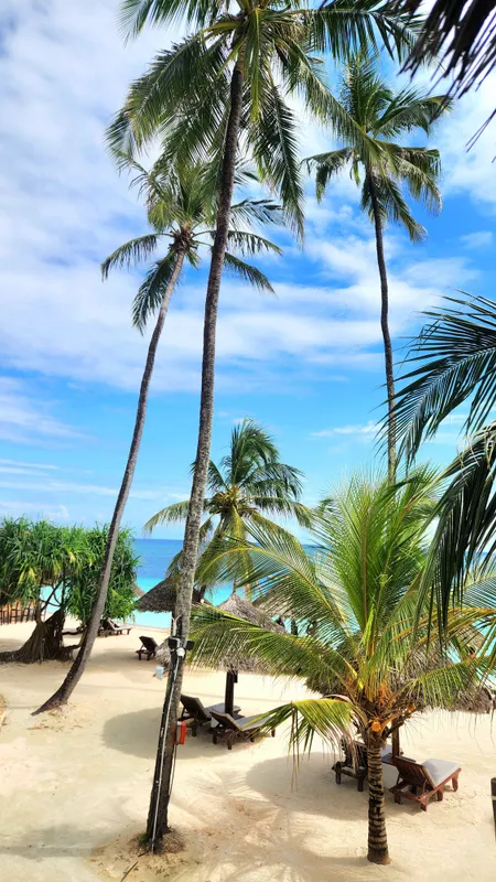 Nungwi Beach Resort by Turaco фото 70