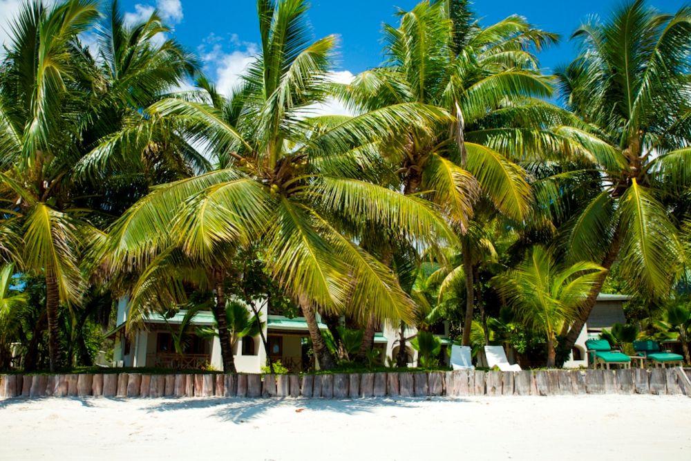 Indian Ocean Lodge фото 8