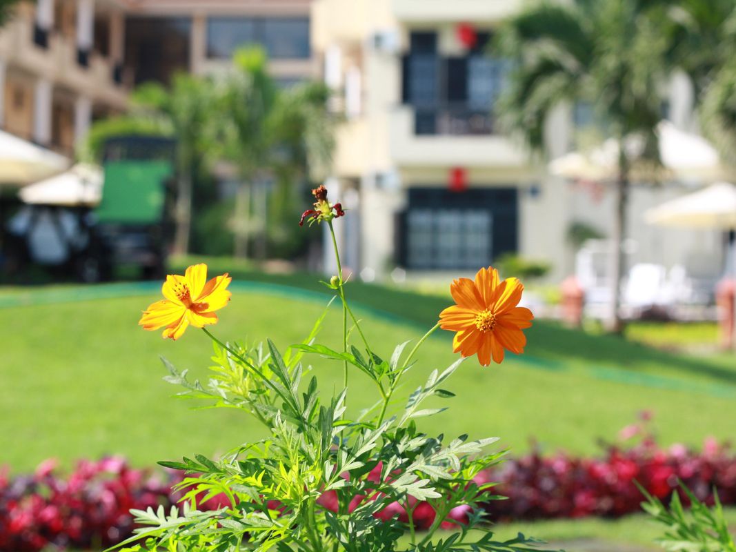 Phu Thinh Boutique Resort & Spa фото 41