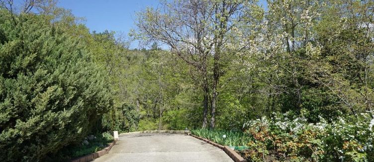 Фото отеля Грейс Небуг Калипсо