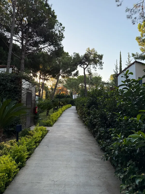 Baia Salima Kemer фото 61