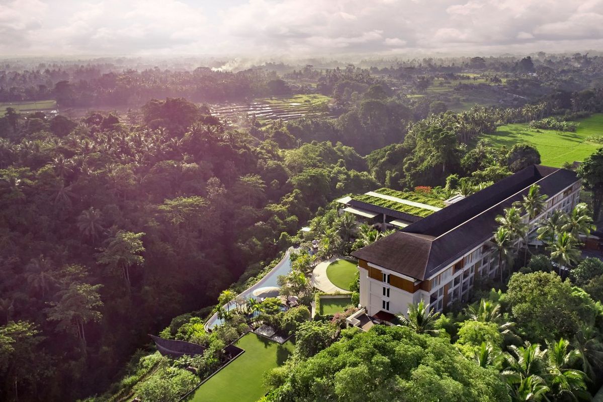 The Westin Resort & Spa Ubud фото 13