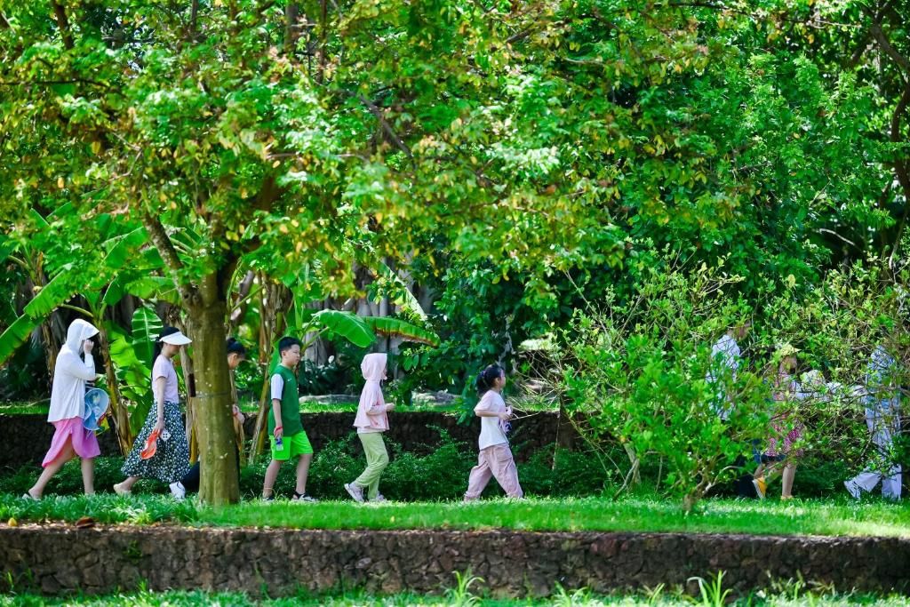 Yalong Bay Mangrove Tree Resort фото 69