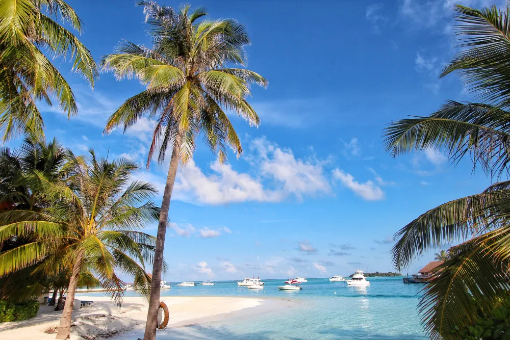 Holiday Inn Resort Kandooma Maldives фото 45