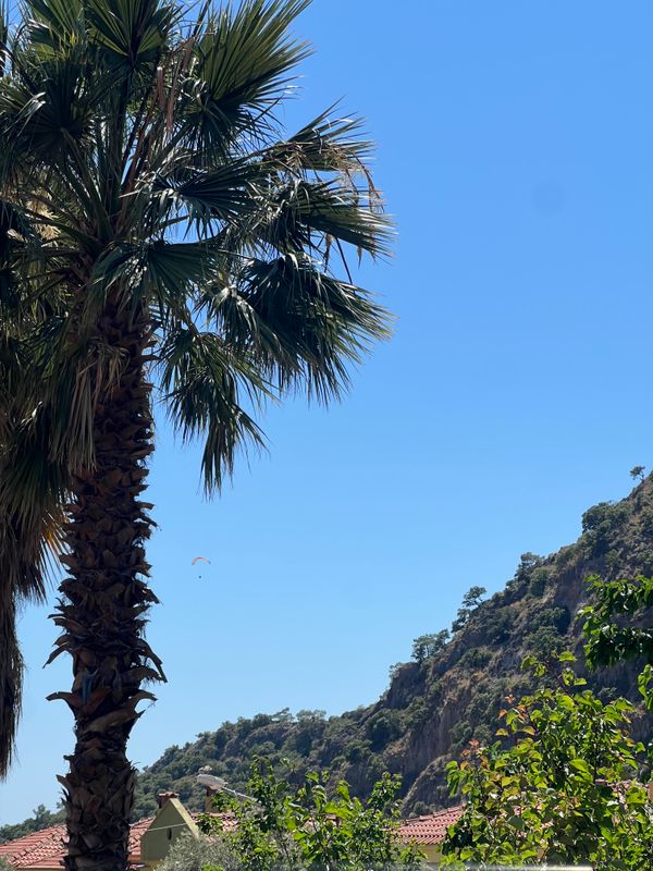 Dream Of Oludeniz фото 20