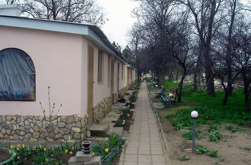Коралл фото 3