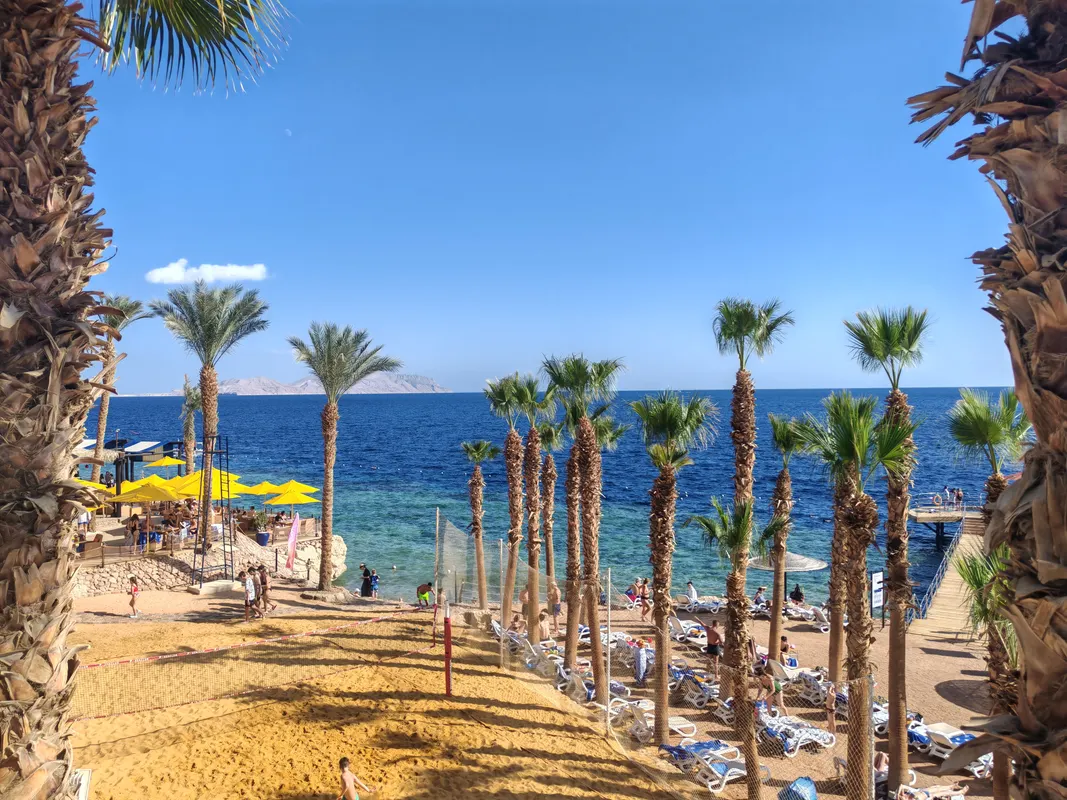 Sunrise Arabian Beach Resort - Grand Select фото 61