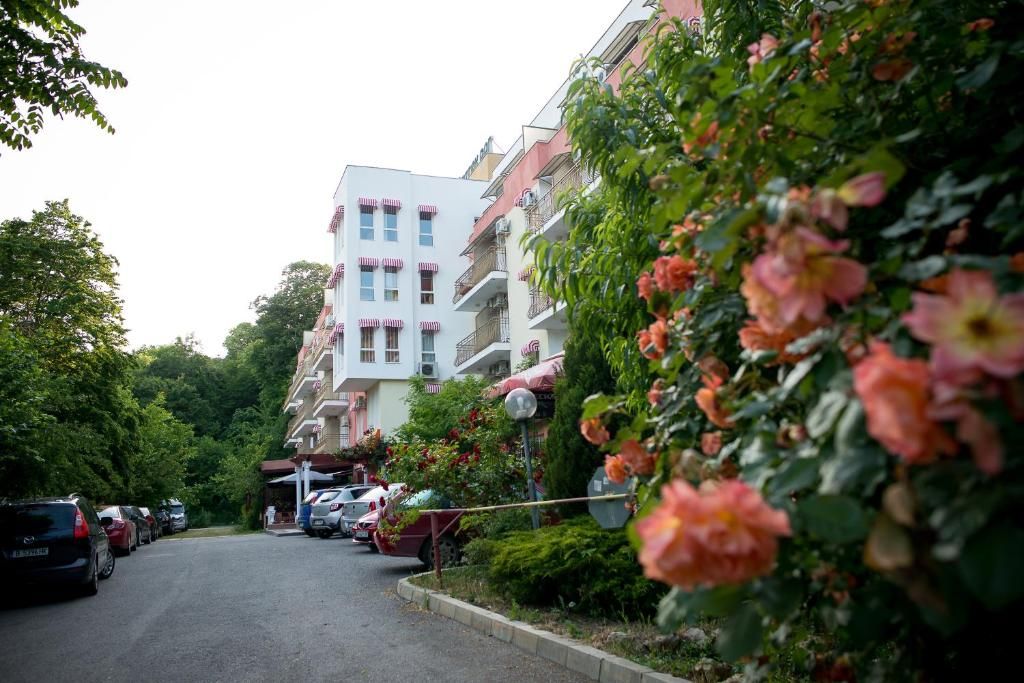 Zlaten Rog фото 15