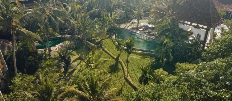 Фото отеля Alaya Resort Ubud