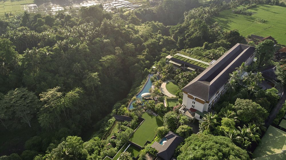 The Westin Resort & Spa Ubud фото 44