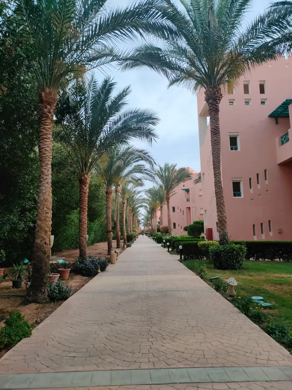 Rehana Sharm Resort Aquapark & Spa фото 224