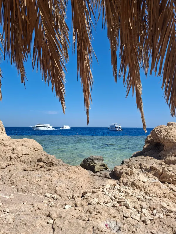 Sharm Club Beach Resort фото 67