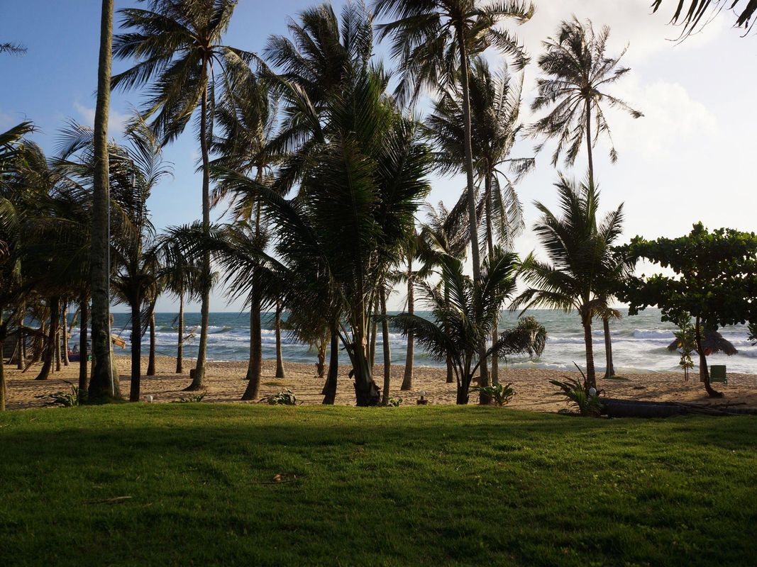 Thanh Kieu Beach Resort фото 10