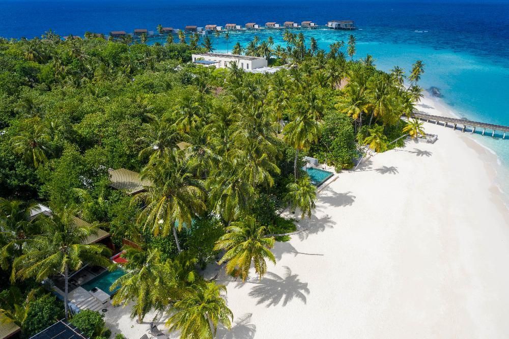 Park Hyatt Maldives Hadahaa фото 31