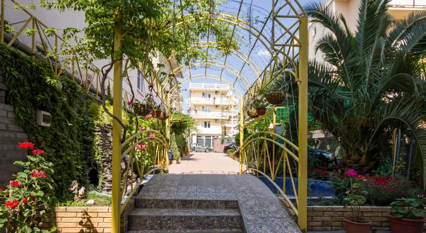 Пальма фото 69