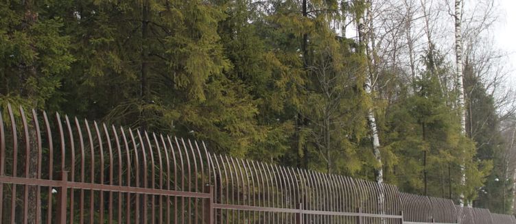 Фото отеля Shakar Palace