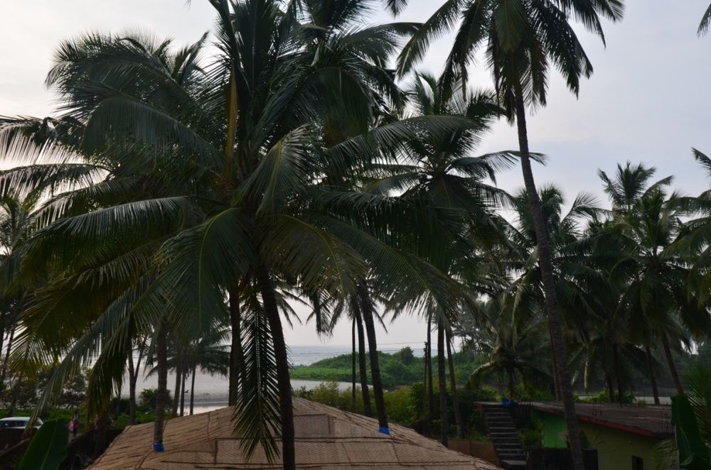 Guest House «Thomas Beach Guest House» фото 32