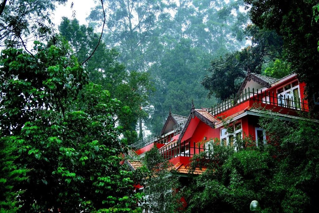 Tea Valley Resort фото 36
