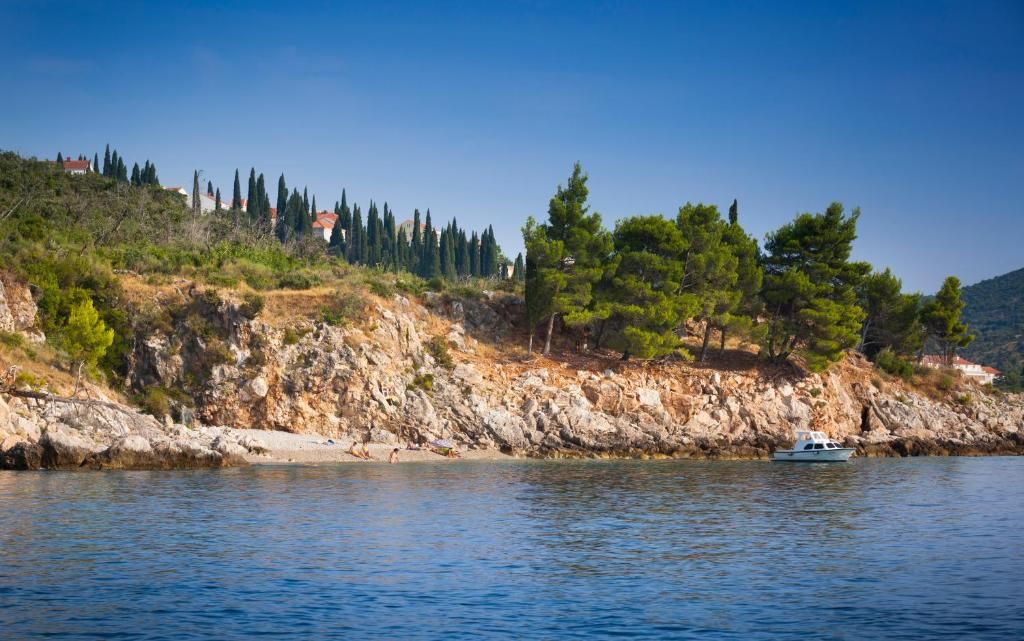 All-inclusive Hotel ALBATROS фото 11