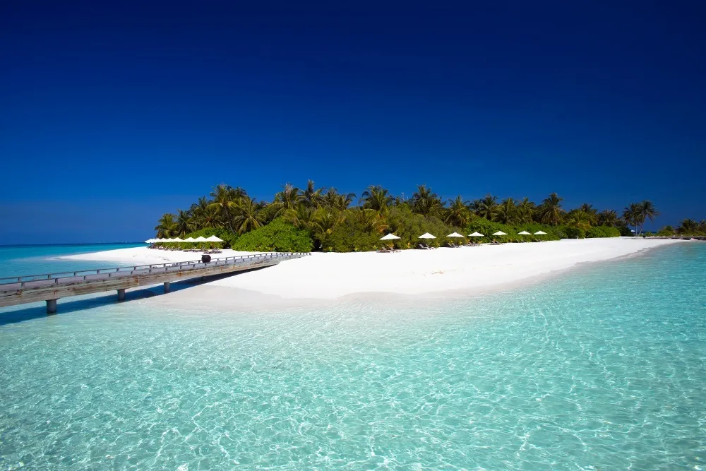 Niva Velassaru Maldives фото 8