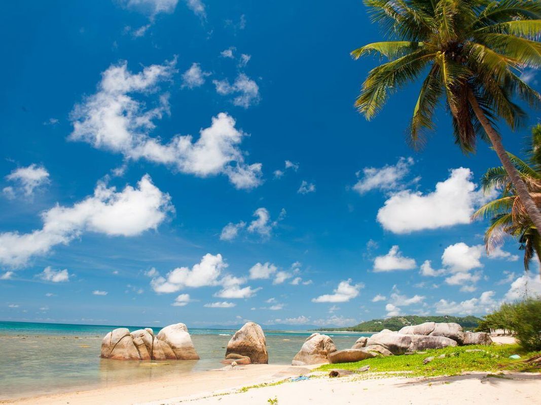 Lazy Day's Samui Beach Resort фото 16